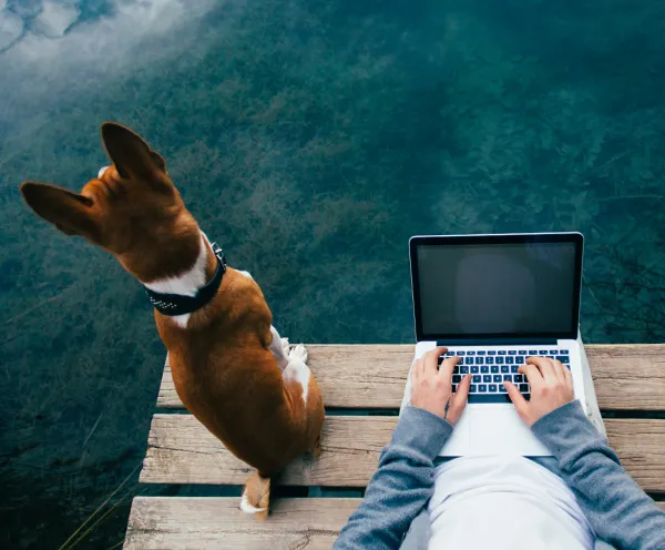 Интернет там, където най-малко го очаквате