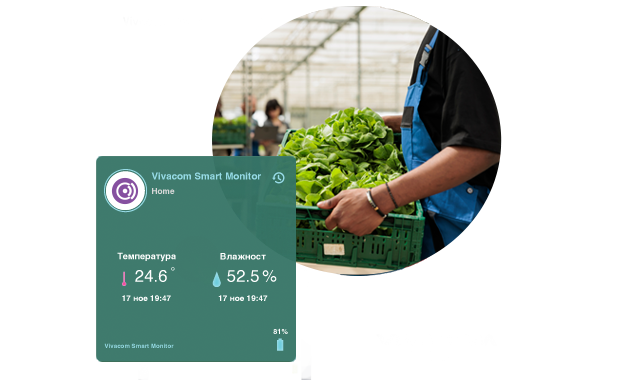 Какво е Vivacom Smart Monitor?