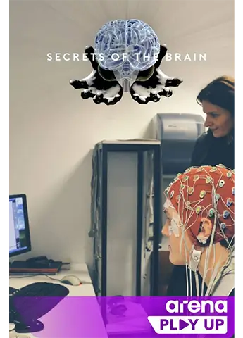 Гледай Secrets of the brain в Arena Play UP