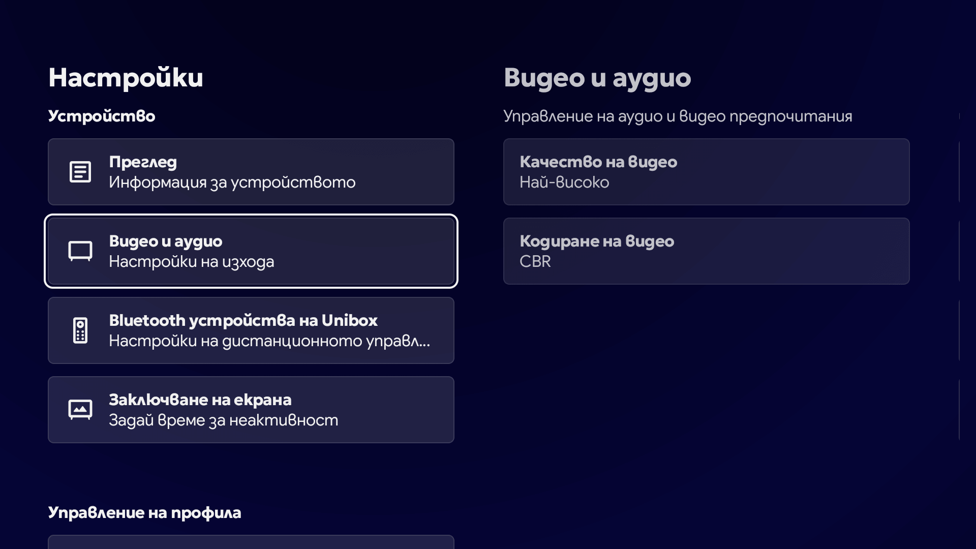 Видео и аудио