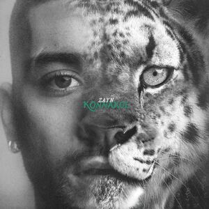 ZAYN - Sideways
