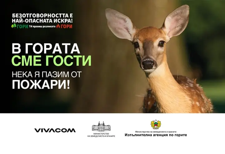 Гората е нечий дом
