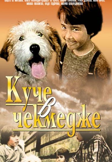 Куче в чекмедже