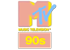 MTV 90s